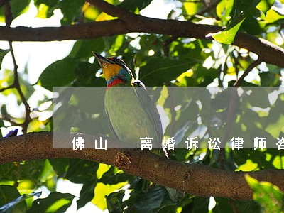 佛山 离婚诉讼律师咨询 佛山 离婚诉讼律师咨询
